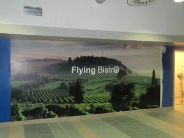 Wielkoformatowy wydruk z krajobrazem winnicy na ścianie lokalu Flying Bistro